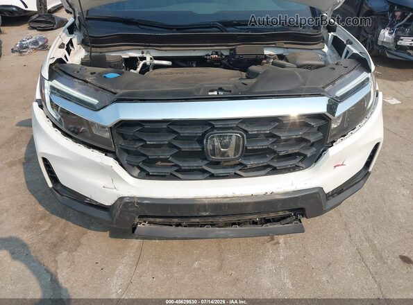 5FNYF8H58SB017777 2025 HONDA PASSPORT White Вид ззаду