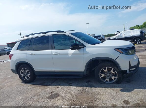 5FNYF8H68PB002907 2023 HONDA PASSPORT Белый Вид задней части салона