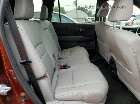 5FNYF8H99MB013405 2021 HONDA PASSPORT Maroon Vista interior trasera