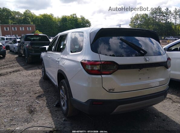 5FNYG1H40PB015296 2023 HONDA PILOT Белый Задняя левая четверть
