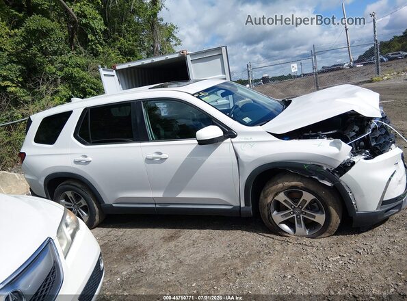 5FNYG1H40PB015296 2023 HONDA PILOT Белый Вид задней части салона