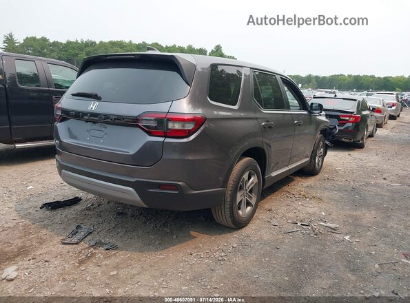 5FNYG1H51RB033088 2024 HONDA PILOT Gray Tył prawy