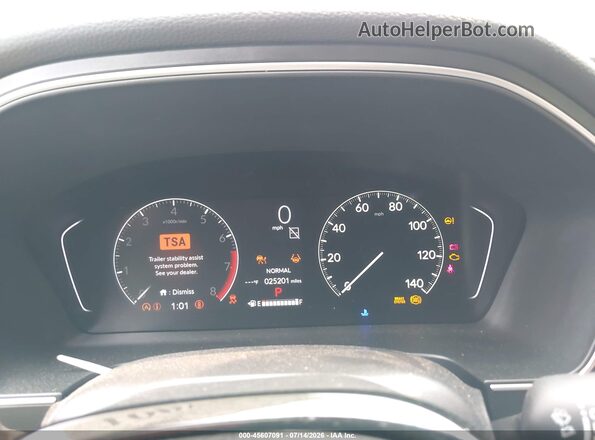 5FNYG1H51RB033088 2024 HONDA PILOT Gray Widok tylnych siedzeń