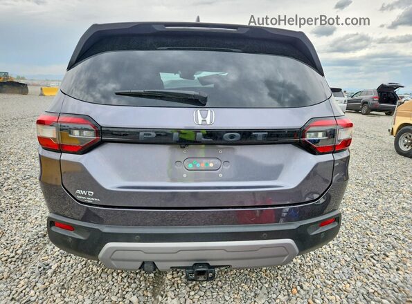 5FNYG1H56PB006305 2023 HONDA PILOT Gray Вид ззаду