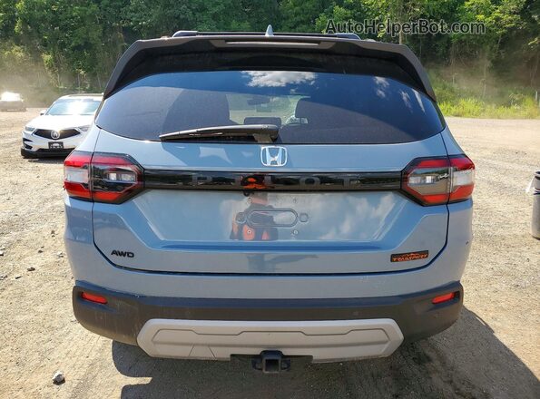 5FNYG1H67RB018958 2024 HONDA PILOT Синий Вид сзади