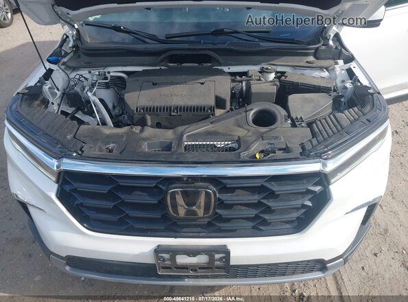 5FNYG1H86PB036415 2023 HONDA PILOT Белый Вид сзади