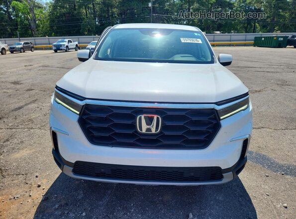 5FNYG2H52RB003300 2024 HONDA PILOT White Vista frontal