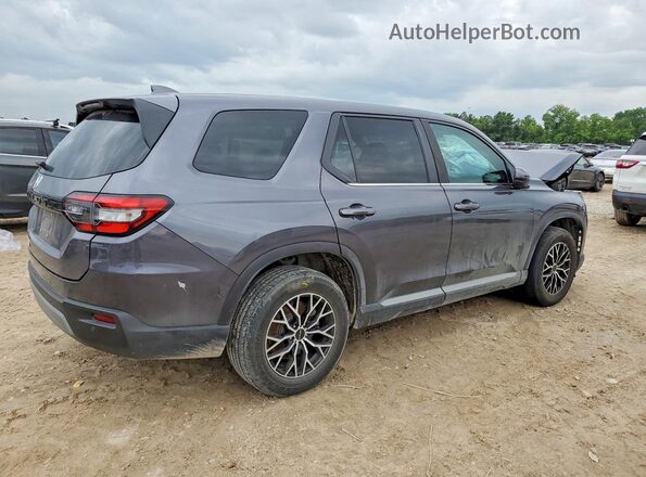 5FNYG2H52RB015334 2024 HONDA PILOT Gray Հետևի աջ