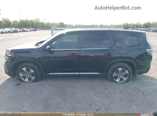 5FNYG2H52RB016550 2024 HONDA PILOT Black Սալոնի 360 աստիճան տեսք
