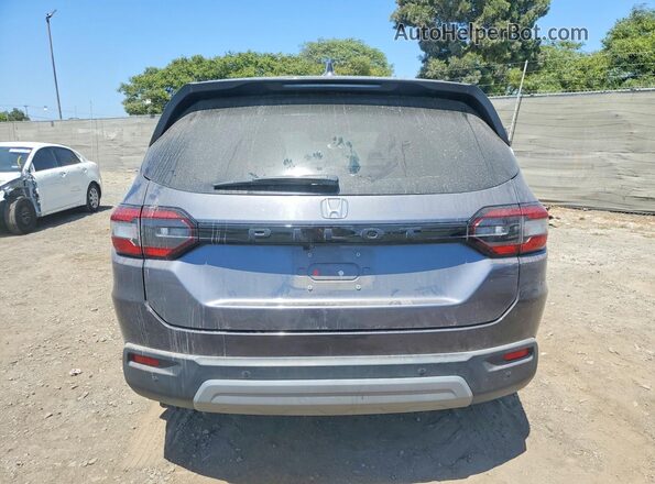 5FNYG2H53RB001832 2024 HONDA PILOT Серый Вид сзади