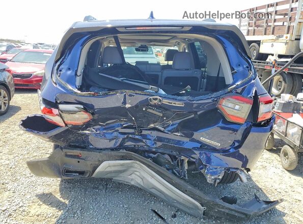 5FNYG2H73SB034191 2025 HONDA PILOT Blue უკანა ხედი