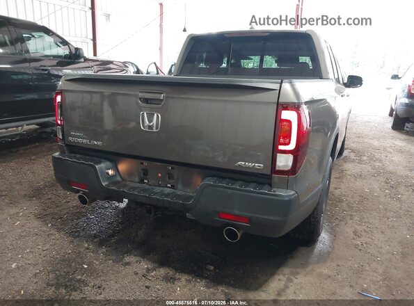 5FPYK3F50MB025366 2021 HONDA RIDGELINE Коричневый Задняя правая четверть
