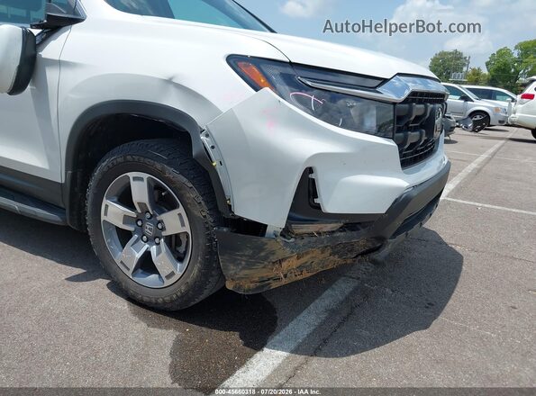 5FPYK3F52SB007321 2025 HONDA RIDGELINE White Widok zestawu wskaźników