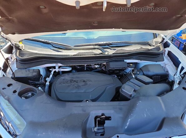 5FPYK3F52SB048211 2025 HONDA RIDGELINE White Rear interior view