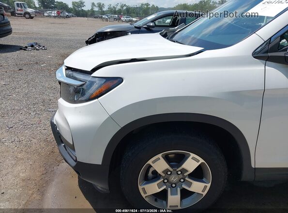 5FPYK3F5XSB020575 2025 HONDA RIDGELINE White 