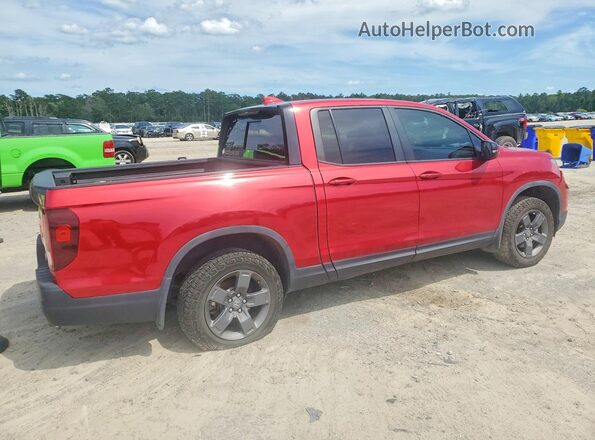 5FPYK3F61RB013968 2024 HONDA RIDGELINE Бордовый Задняя правая четверть
