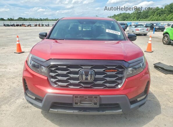 5FPYK3F61RB013968 2024 HONDA RIDGELINE Бордовый Вид спереди