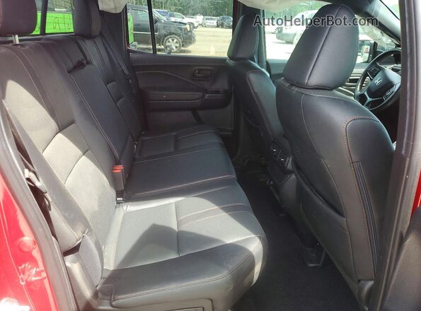 5FPYK3F61RB013968 2024 HONDA RIDGELINE Бордовый Вид задних сидений