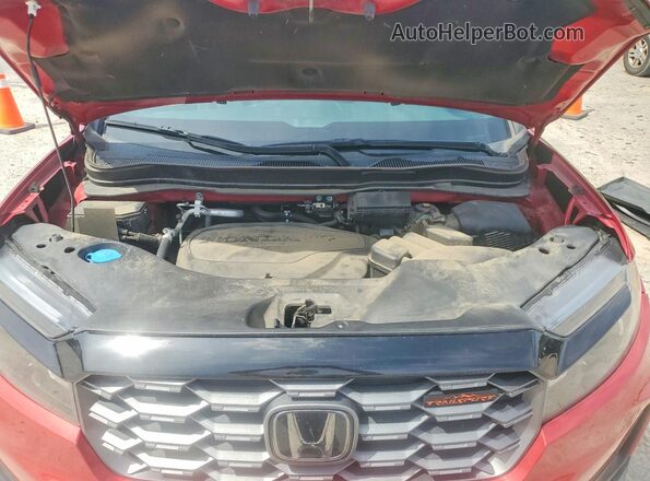 5FPYK3F61RB013968 2024 HONDA RIDGELINE Бордовый Вид задней части салона