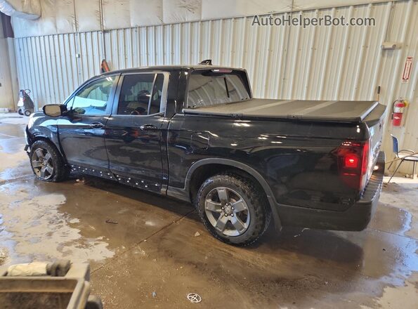 5FPYK3F62RB029838 2024 HONDA RIDGELINE Черный Задняя левая четверть