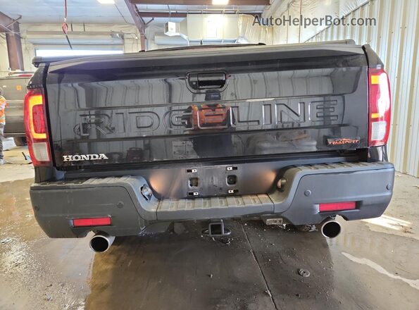 5FPYK3F62RB029838 2024 HONDA RIDGELINE Черный Вид сзади