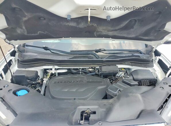 5FPYK3F79MB017767 2021 HONDA RIDGELINE White Widok wnętrza z tyłu