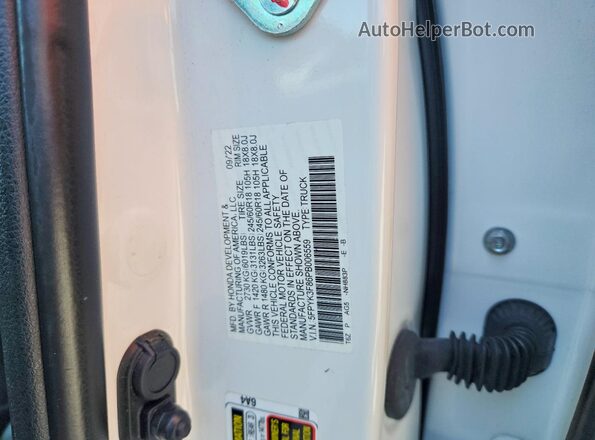 5FPYK3F86PB006559 2023 HONDA RIDGELINE White ძრავის განყოფილების ხედი