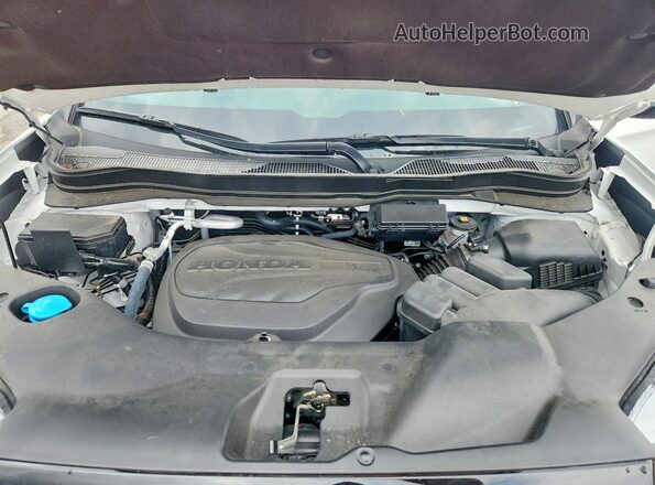 5FPYK3F86SB027663 2025 HONDA RIDGELINE Белый Вид задней части салона