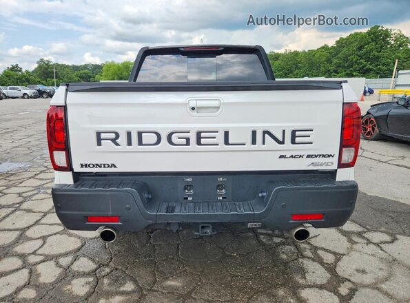 5FPYK3F86SB027663 2025 HONDA RIDGELINE Белый Вид сзади