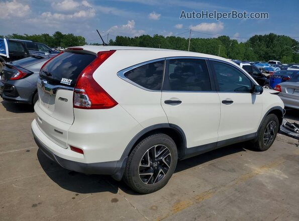 5J6RM4H41GL063783 2016 HONDA CR-V White Հետևի աջ