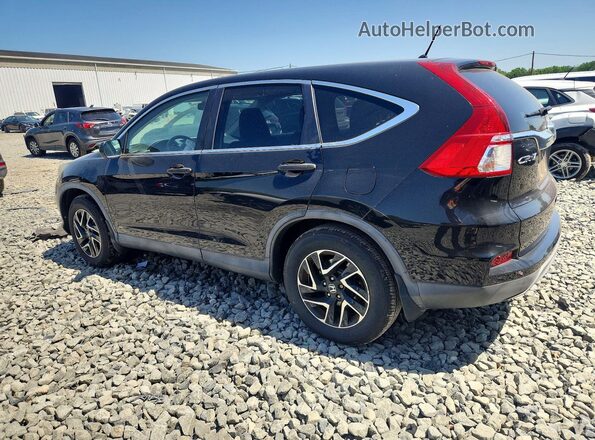 5J6RM4H41GL081295 2016 HONDA CR-V Gray Հետևի ձախ