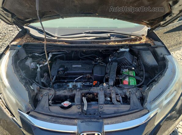 5J6RM4H41GL081295 2016 HONDA CR-V Gray Սալոնի հետևի տեսք