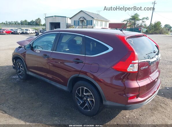 5J6RM4H42GL075103 2016 HONDA CR-V Burgundy Հետևի ձախ