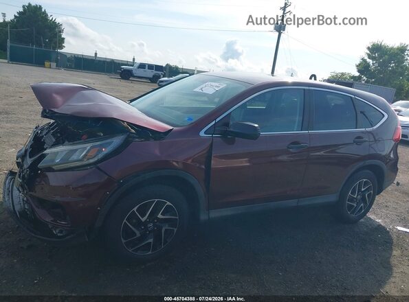 5J6RM4H42GL075103 2016 HONDA CR-V Burgundy Սալոնի 360 աստիճան տեսք