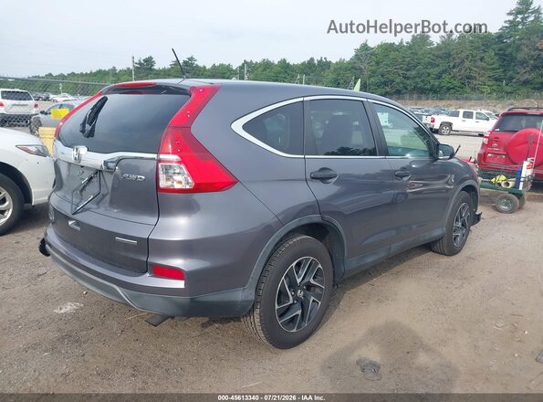 5J6RM4H42GL093083 2016 HONDA CR-V Gray Rear right
