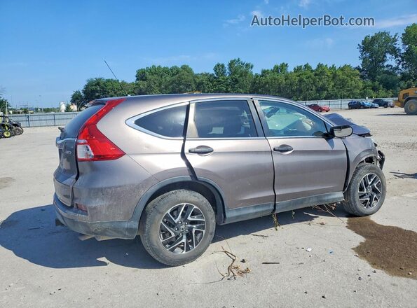 5J6RM4H46GL014871 2016 HONDA CR-V Серый Задняя правая четверть