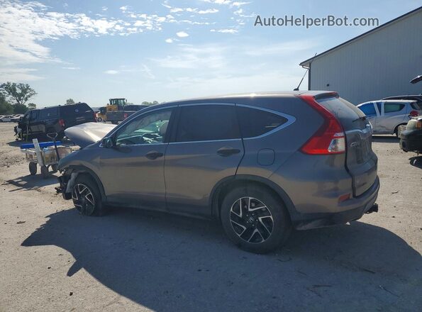 5J6RM4H46GL014871 2016 HONDA CR-V Серый Задняя левая четверть