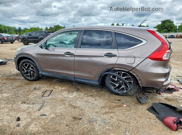 5J6RM4H47GL041142 2016 HONDA CR-V Gray Задня ліва чверть