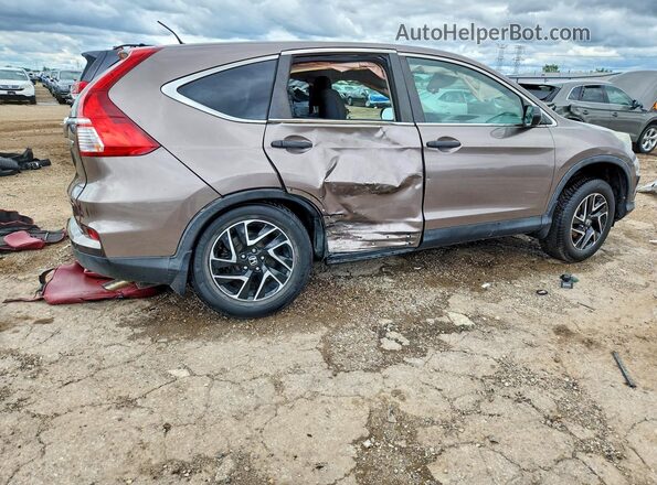 5J6RM4H47GL041142 2016 HONDA CR-V Gray Задня права чверть