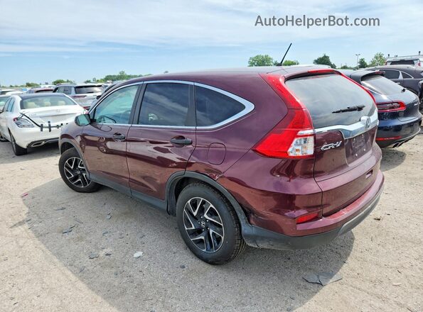 5J6RM4H47GL044655 2016 HONDA CR-V Burgundy Հետևի ձախ