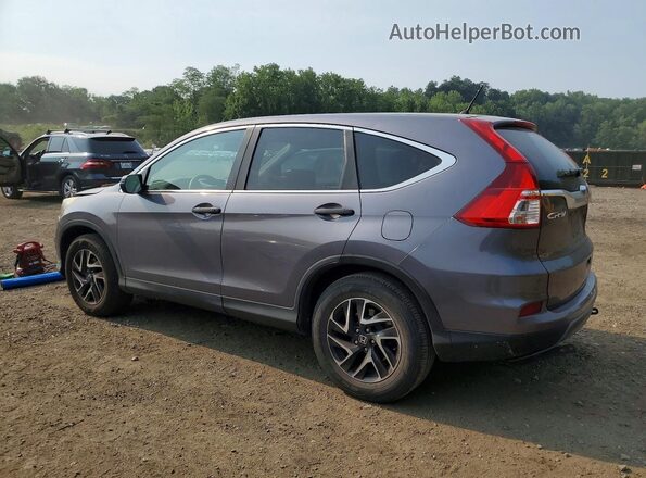 5J6RM4H48GL082704 2016 HONDA CR-V Gray Задня ліва чверть