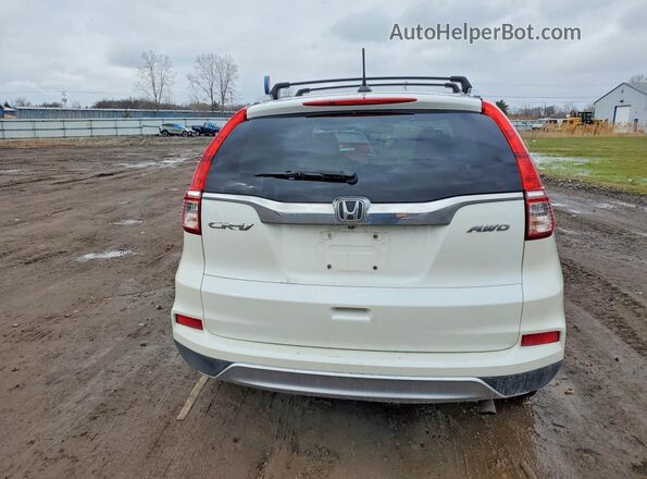 5J6RM4H72GL021701 2016 HONDA CR-V White Widok z tyłu