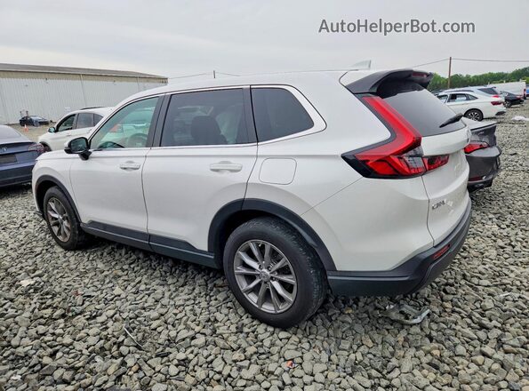5J6RS4H42PL003114 2023 HONDA CR-V White Հետևի ձախ