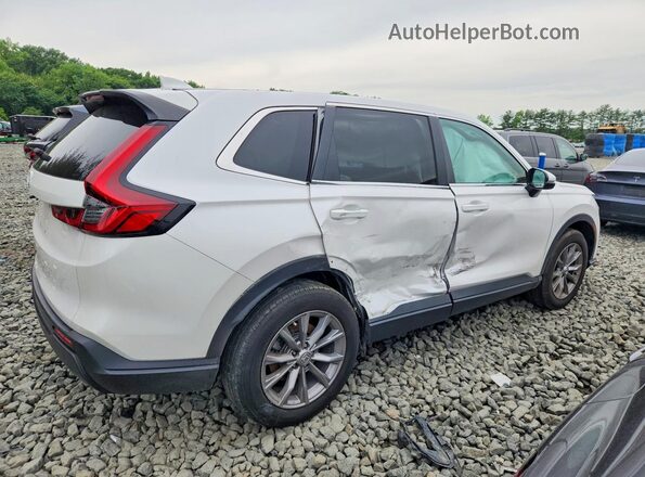 5J6RS4H42PL003114 2023 HONDA CR-V White Հետևի աջ