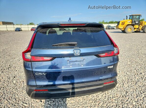 5J6RS4H44RL008446 2024 HONDA CR-V Blue უკანა ხედი