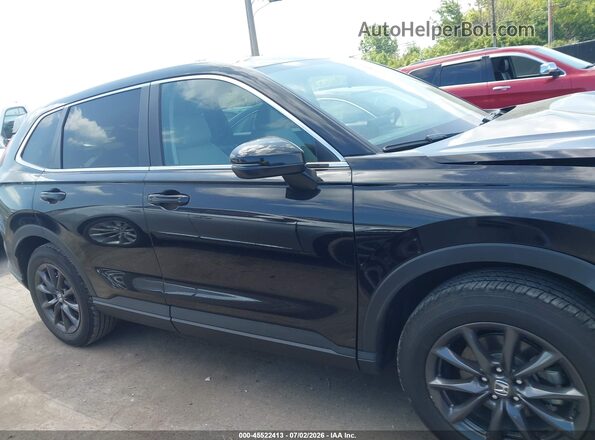 5J6RS4H74TL008609 2026 HONDA CR-V Черный Вид задней части салона
