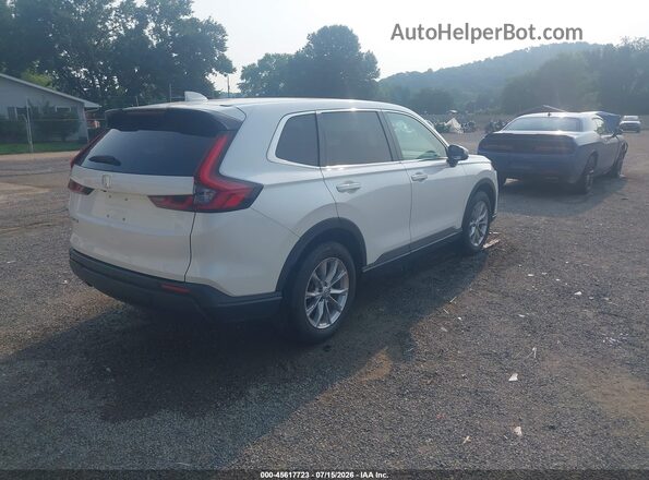5J6RS4H76PL002171 2023 HONDA CR-V White Tył prawy