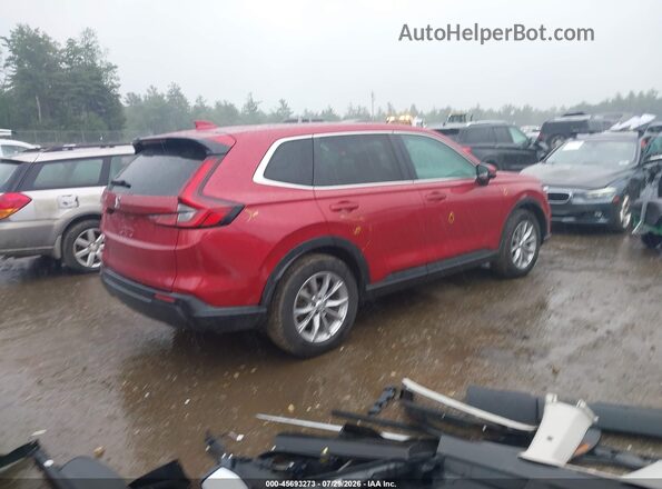 5J6RS4H77PL007458 2023 HONDA CR-V Красный Задняя правая четверть