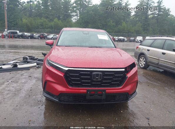 5J6RS4H77PL007458 2023 HONDA CR-V Красный Вид задней части салона