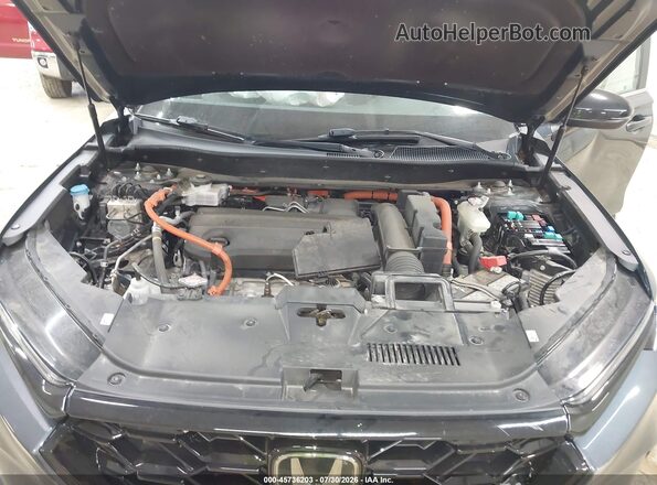 5J6RS6H81RL029317 2024 HONDA CR-V Dark Blue Вид сзади